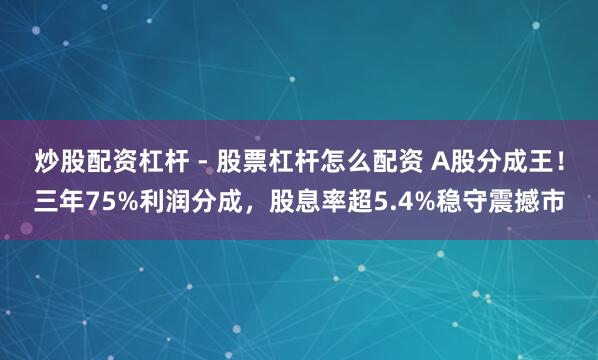 炒股配资杠杆 - 股票杠杆怎么配资 A股分成王！三年75%利润分成，股息率超5.4%稳守震撼市