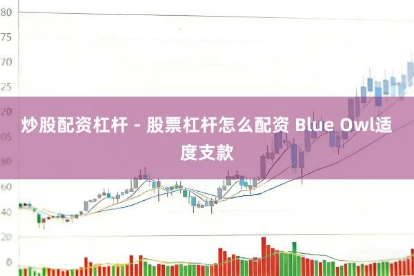 炒股配资杠杆 - 股票杠杆怎么配资 Blue Owl适度支款