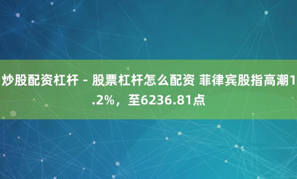 炒股配资杠杆 - 股票杠杆怎么配资 菲律宾股指高潮1.2%，至6236.81点
